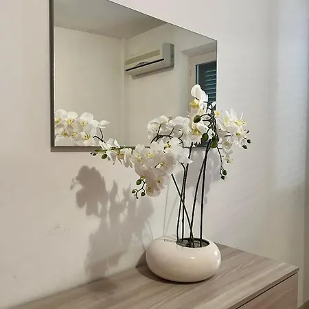 Spazioso Piano Terra Vicino Mare *